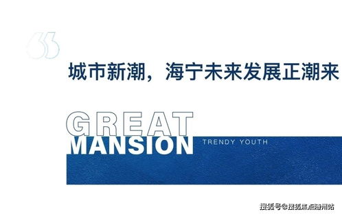 海寧2021網(wǎng)絡(luò)安全事件 官方緊急響應(yīng)與軟件開發(fā)新動向